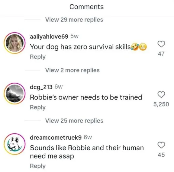 Free marketing ideas - Commonts.