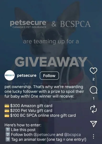 Free marketing ideas - Post from PetSource