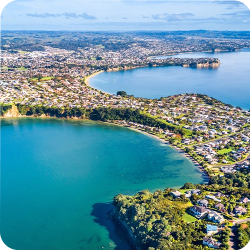 Show ads across social, search, local listings and display