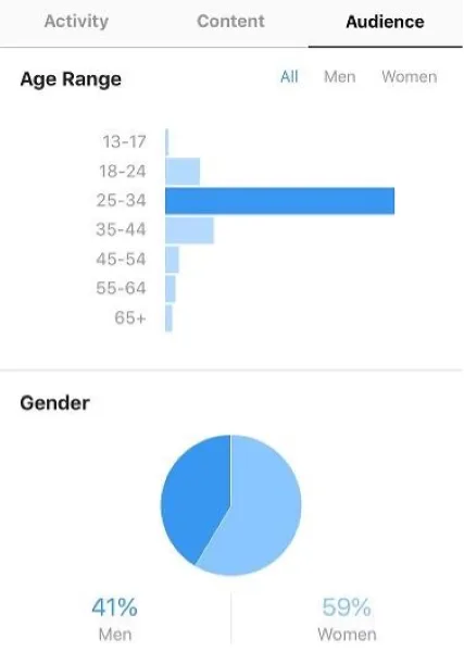 Instagram marketing - Instagram dashboard.