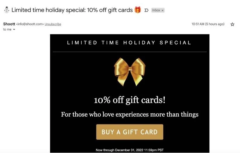 limited time offer holiday email example