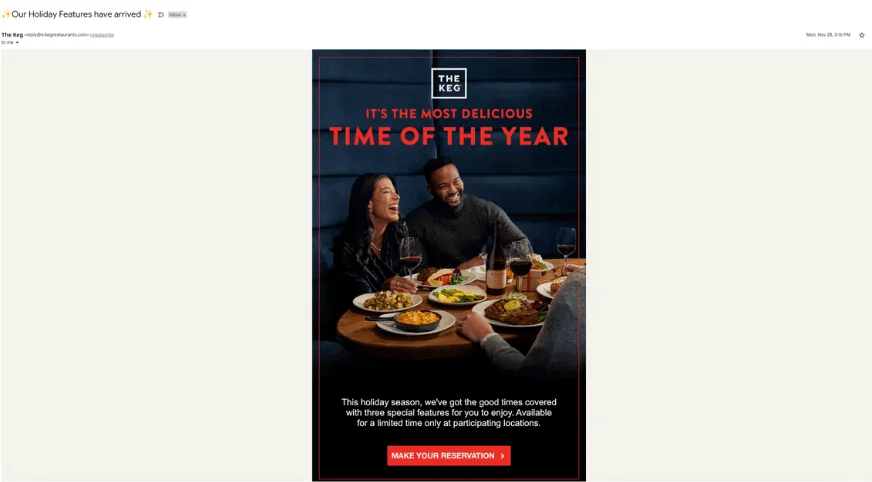 seasonal holiday features email example