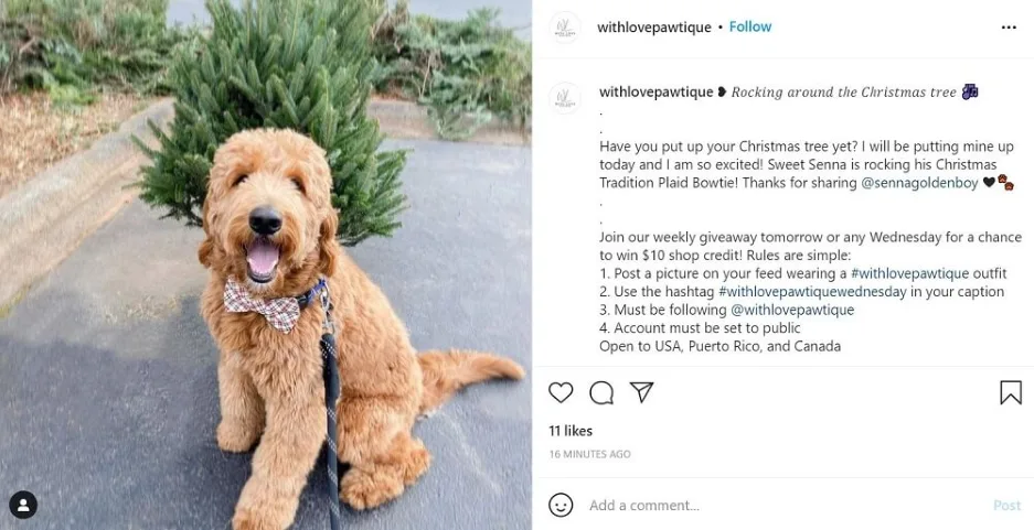 Christmas slogans - Christmas post with a dog image.