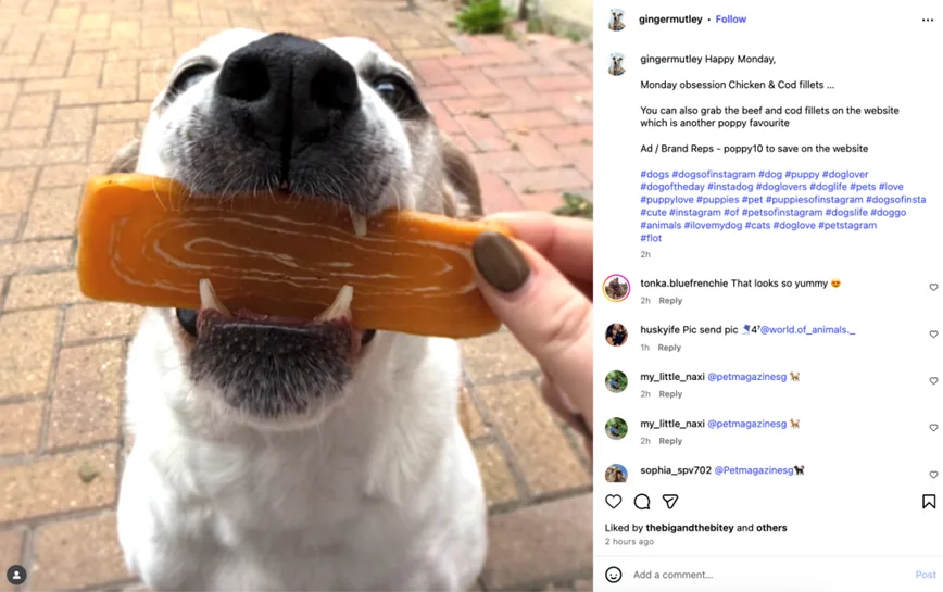 influencer marketing for small business - affiliate links