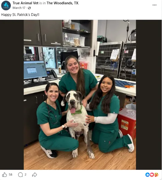Facebook marketing - vet clinic post