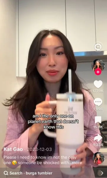 Market segment examples - stanly tiktok