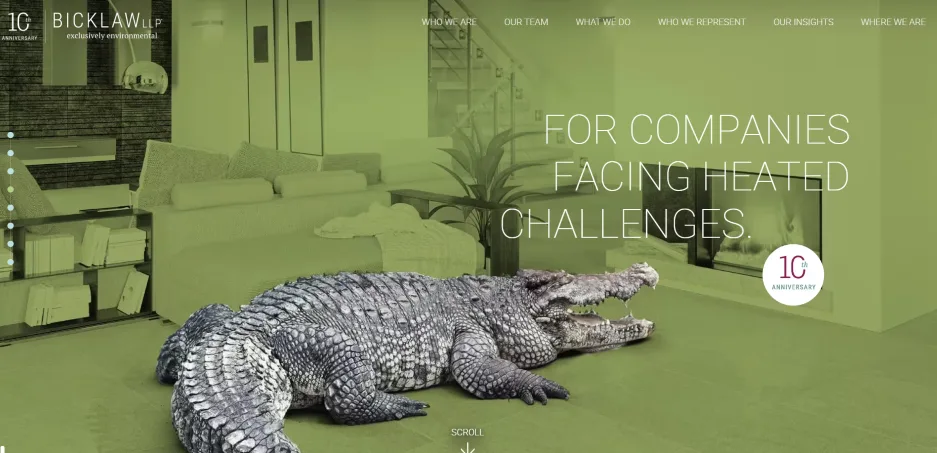 small business websites -law firm website.