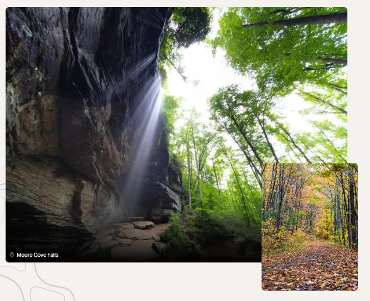 small business websites - Asheville images.