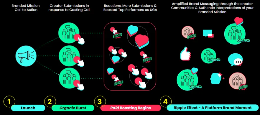 tiktok ad types - branded ads tiktok graphic