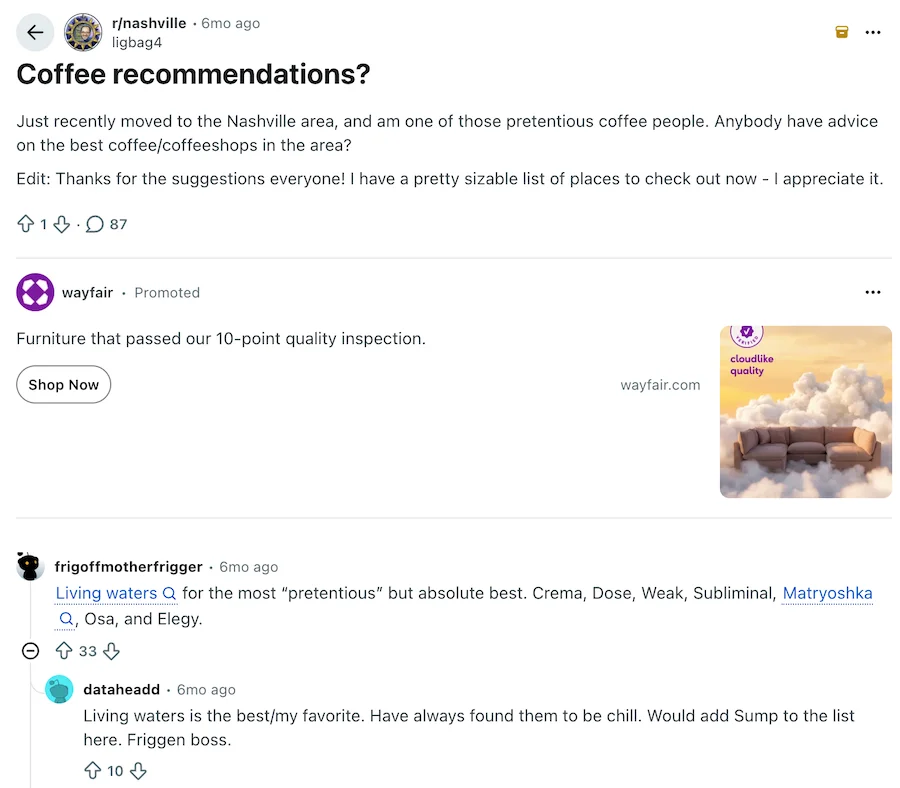 target audience - example of competitor research on reddit